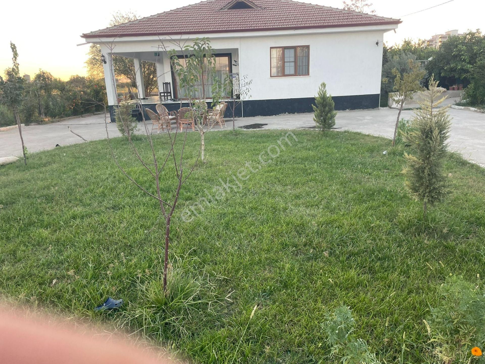 Aydın Nazilli Sümer Mahallesinde Satılık Evler Ve Hayvan Damı - Görsel 13