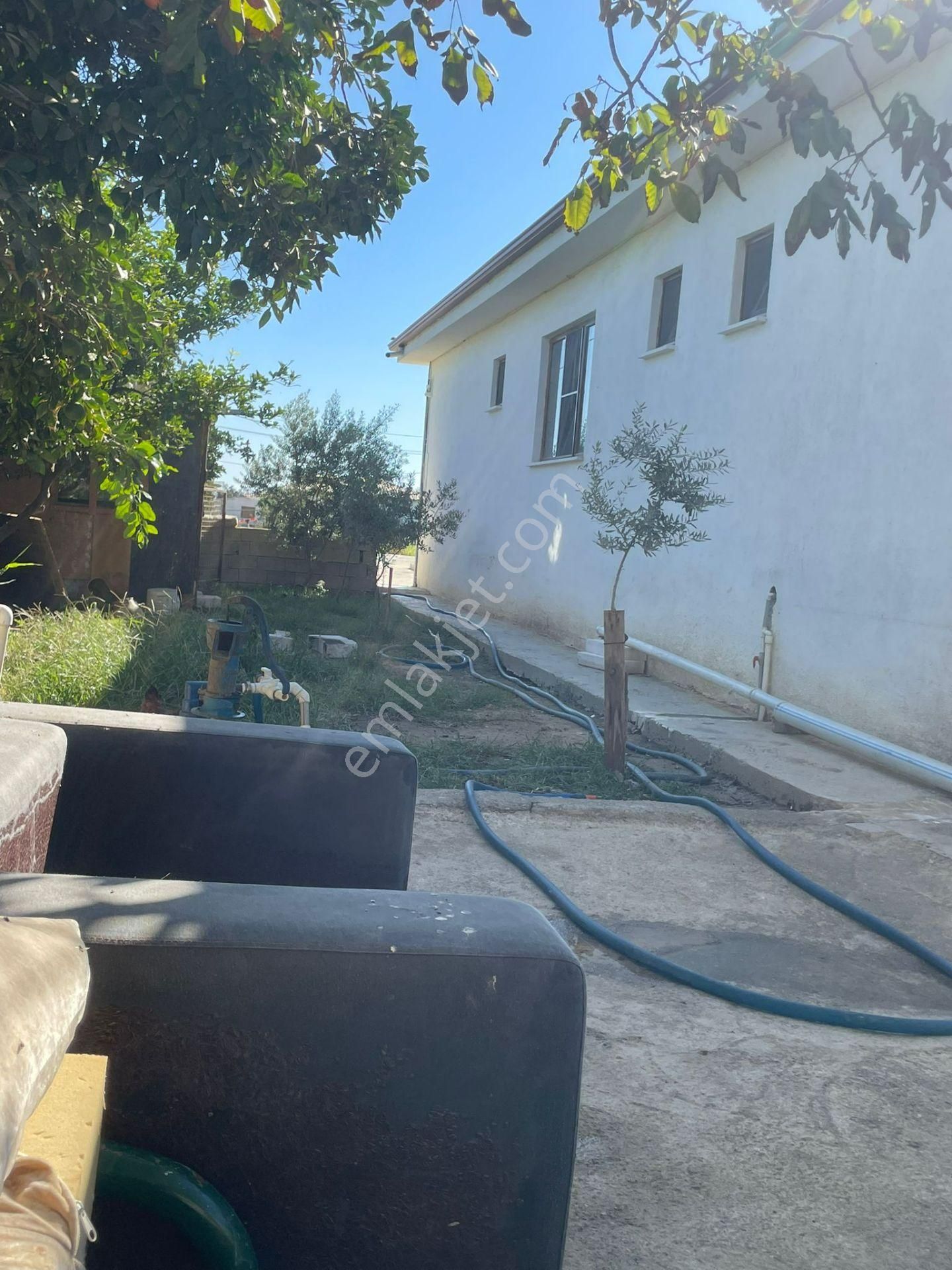 Aydın Nazilli Sümer Mahallesinde Satılık Evler Ve Hayvan Damı - Görsel 12