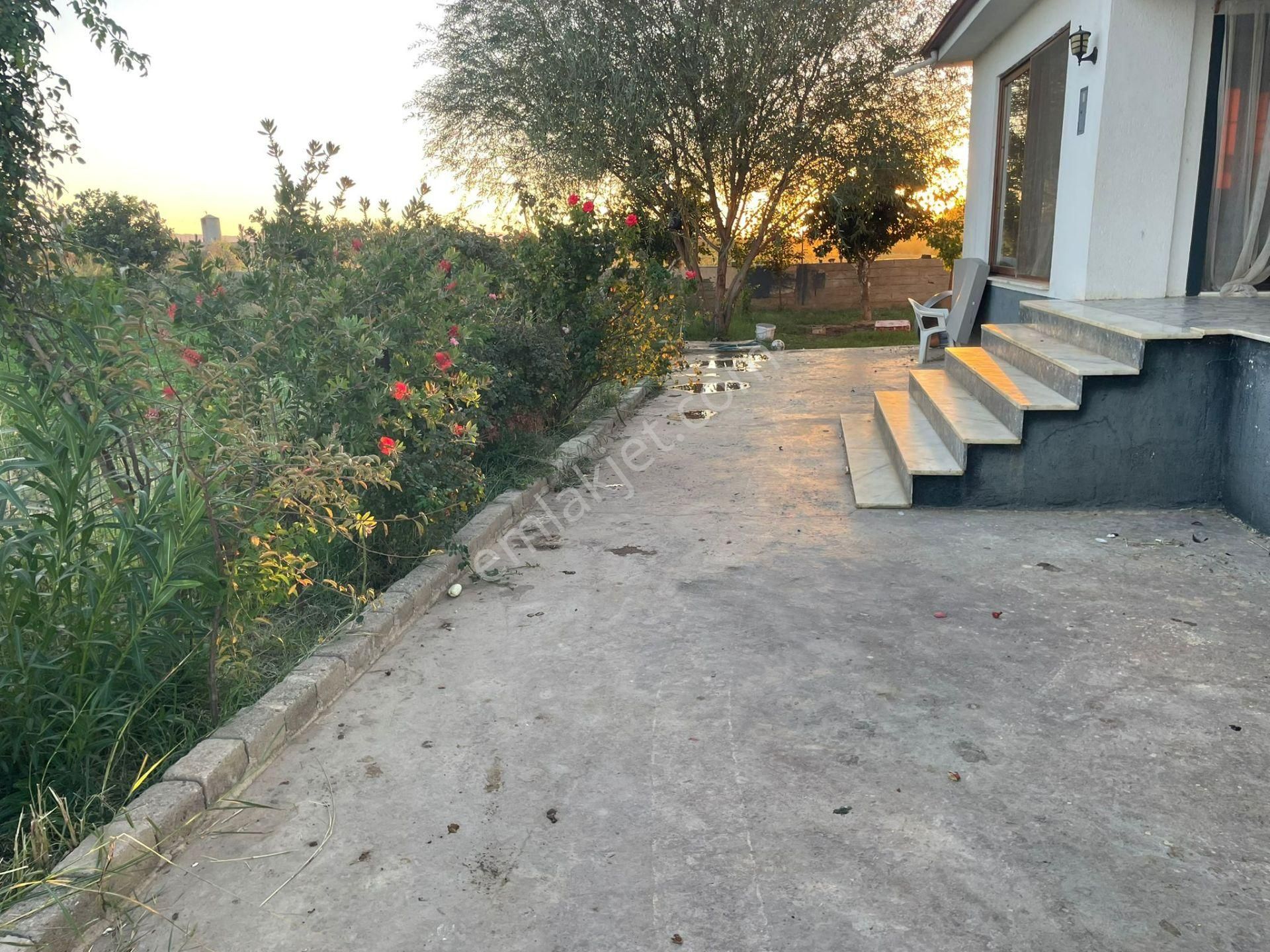 Aydın Nazilli Sümer Mahallesinde Satılık Evler Ve Hayvan Damı - Görsel 5