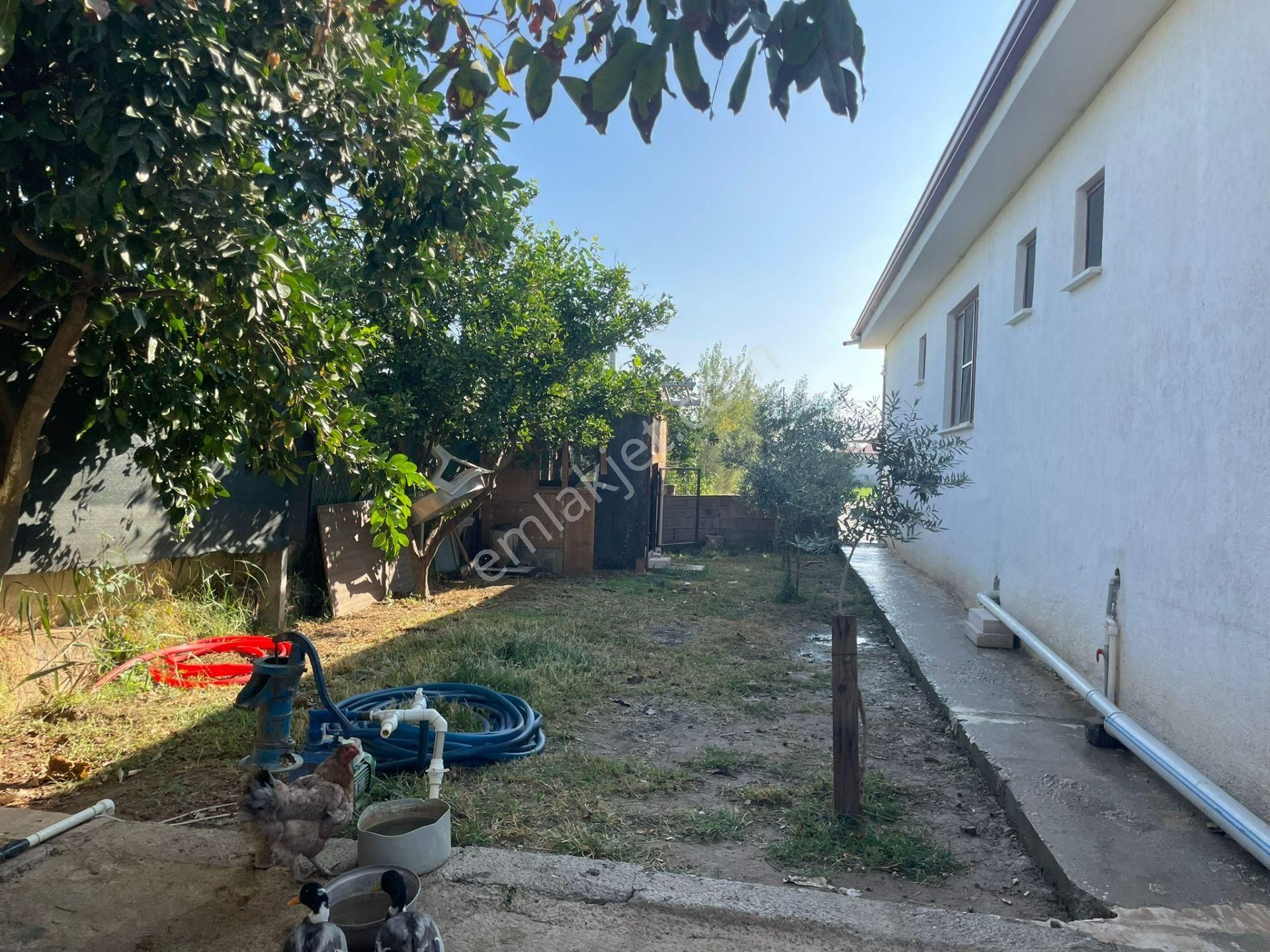 Aydın Nazilli Sümer Mahallesinde Satılık Evler Ve Hayvan Damı - Görsel 6