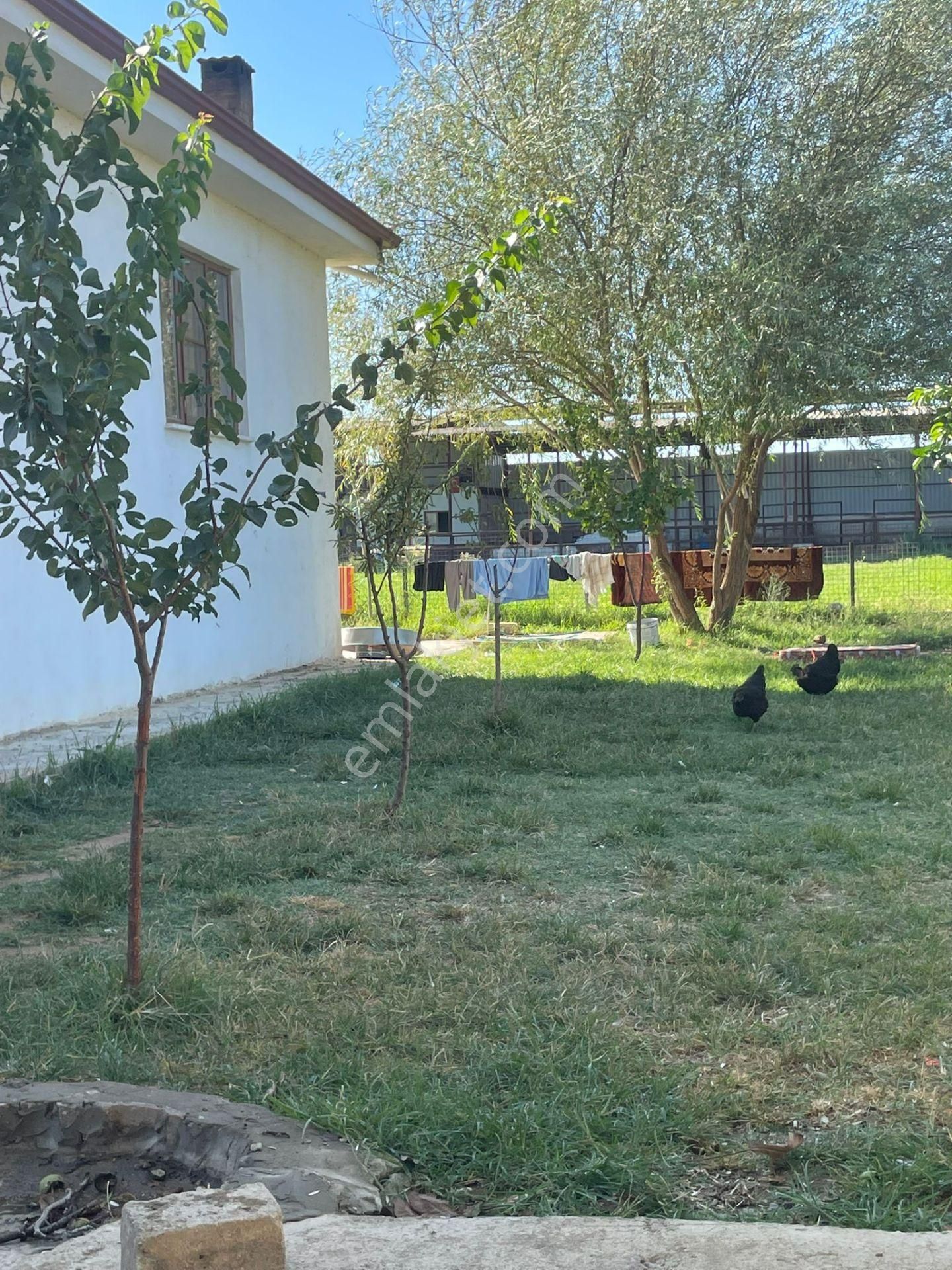 Aydın Nazilli Sümer Mahallesinde Satılık Evler Ve Hayvan Damı - Görsel 18