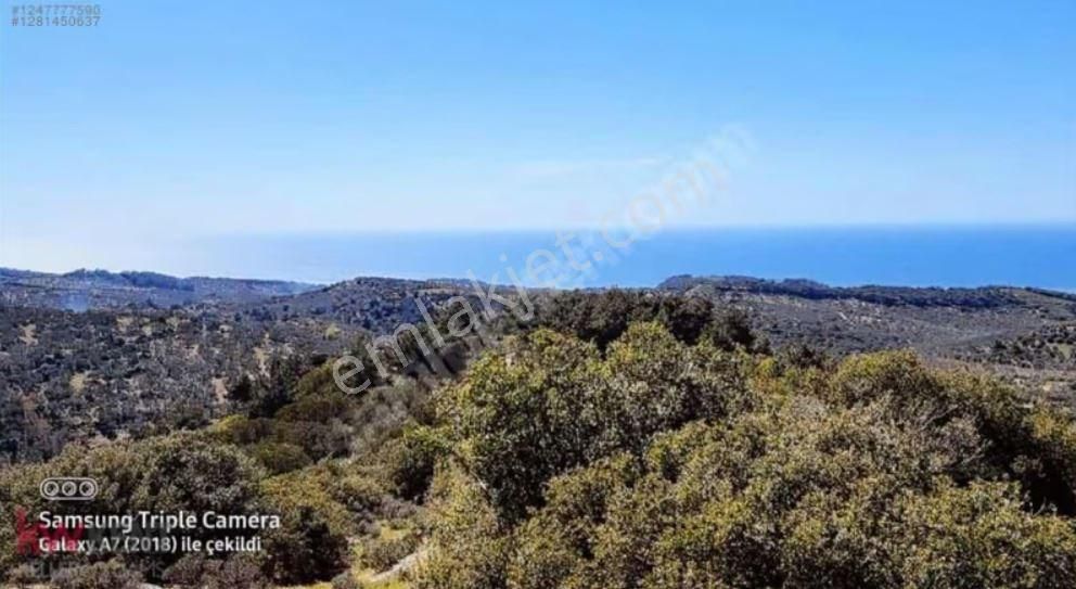 Çanakkale Ezine Tavaklı Da Yatırımlık Tarla