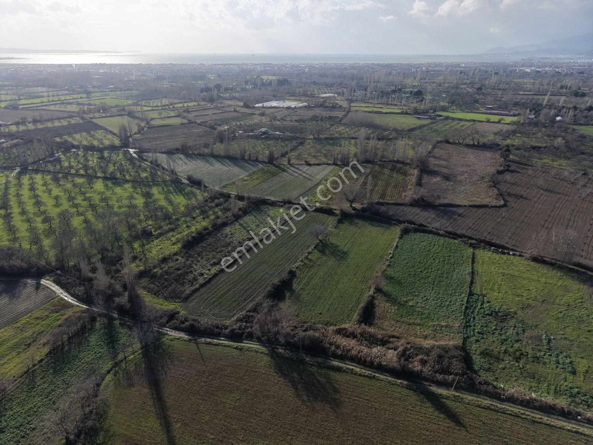 Mera Emlaktan Zeytinli Mevki Hisseli, İmara Yakın 2.500m2 Tarla - Görsel 21