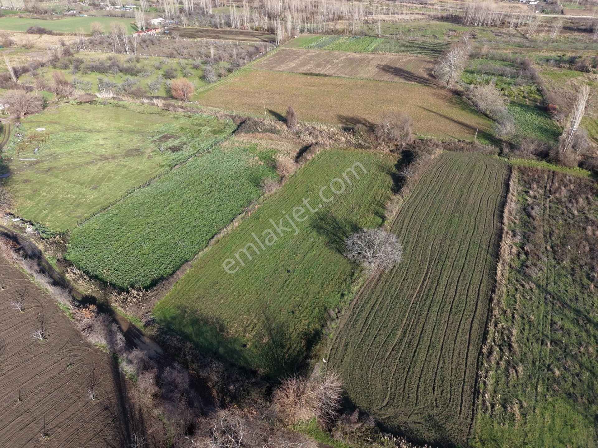 Mera Emlaktan Zeytinli Mevki Hisseli, İmara Yakın 2.500m2 Tarla - Görsel 7