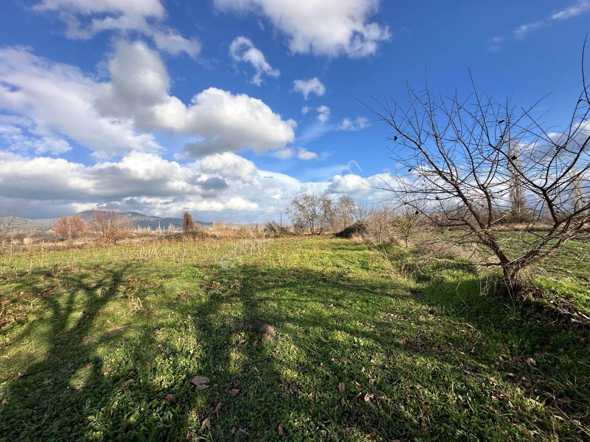 Mera Emlaktan Zeytinli Mevki Hisseli, İmara Yakın 2.500m2 Tarla - Görsel 16