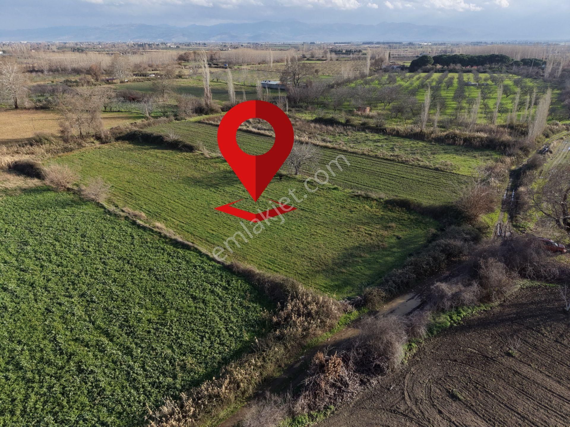 Mera Emlaktan Zeytinli Mevki Hisseli, İmara Yakın 2.500m2 Tarla - Görsel 3
