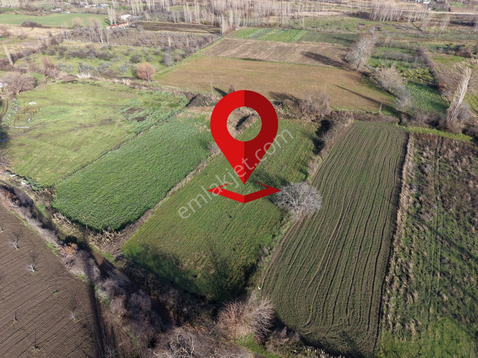 Mera Emlaktan Zeytinli Mevki Hisseli, İmara Yakın 2.500m2 Tarla - Görsel 10