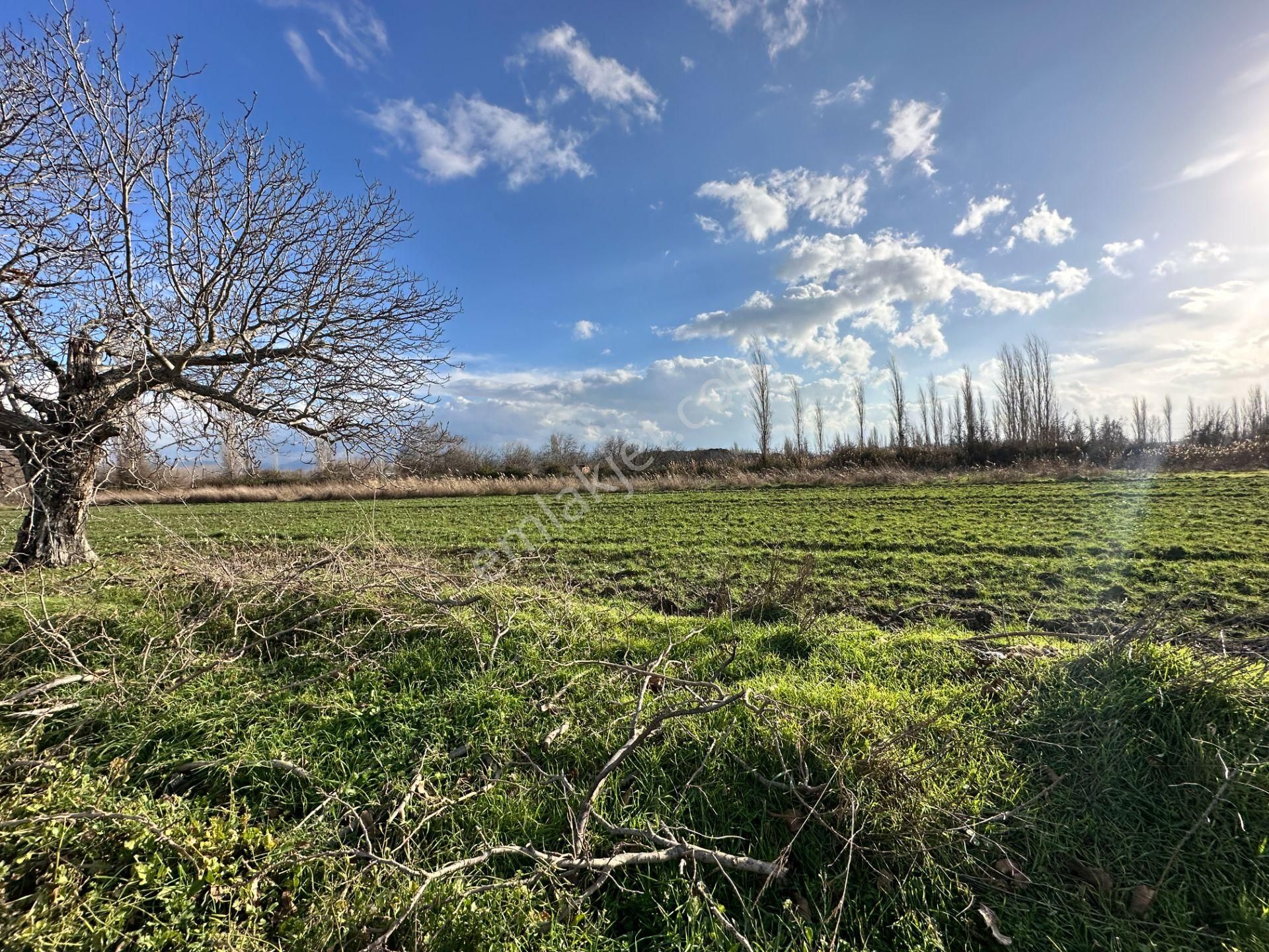 Mera Emlaktan Zeytinli Mevki Hisseli, İmara Yakın 2.500m2 Tarla - Görsel 30