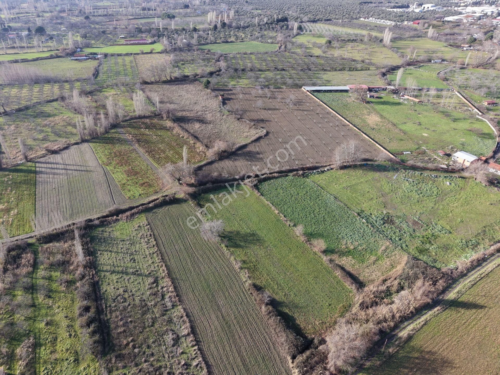 Mera Emlaktan Zeytinli Mevki Hisseli, İmara Yakın 2.500m2 Tarla - Görsel 12