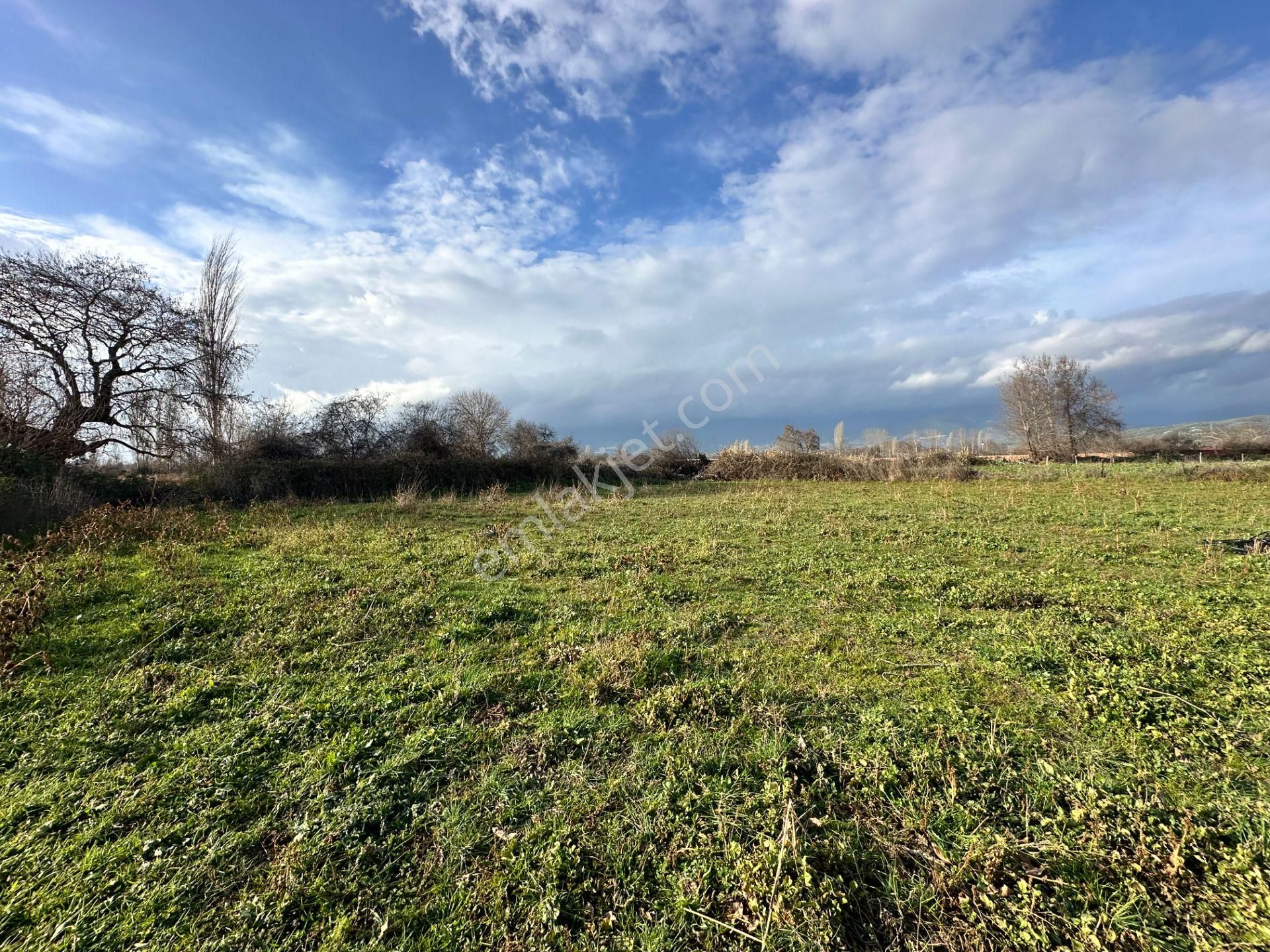 Mera Emlaktan Zeytinli Mevki Hisseli, İmara Yakın 2.500m2 Tarla - Görsel 22