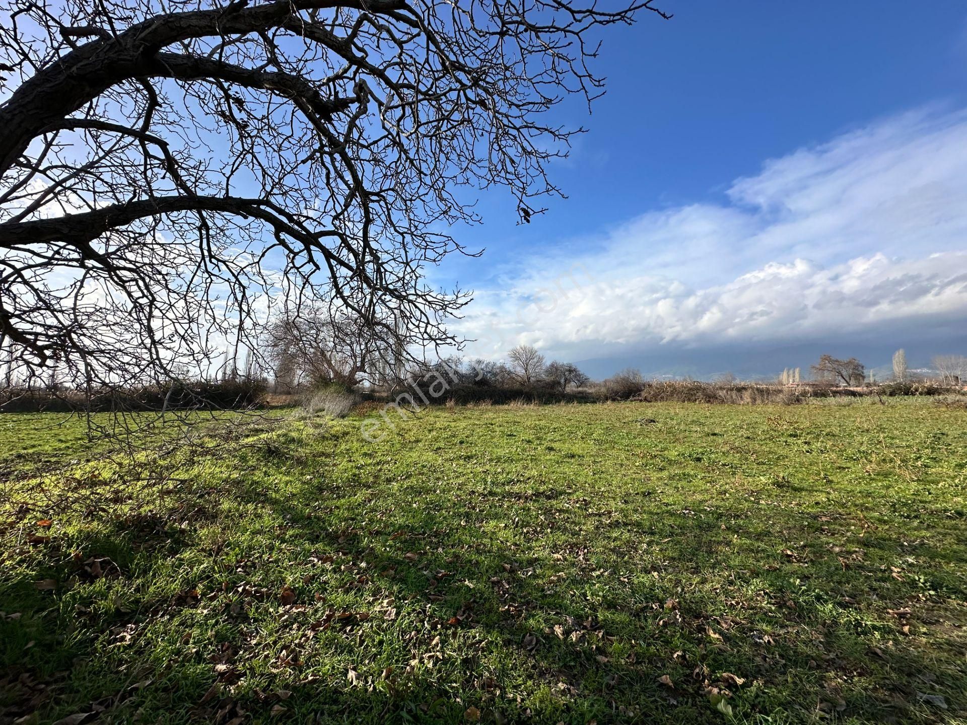 Mera Emlaktan Zeytinli Mevki Hisseli, İmara Yakın 2.500m2 Tarla - Görsel 19