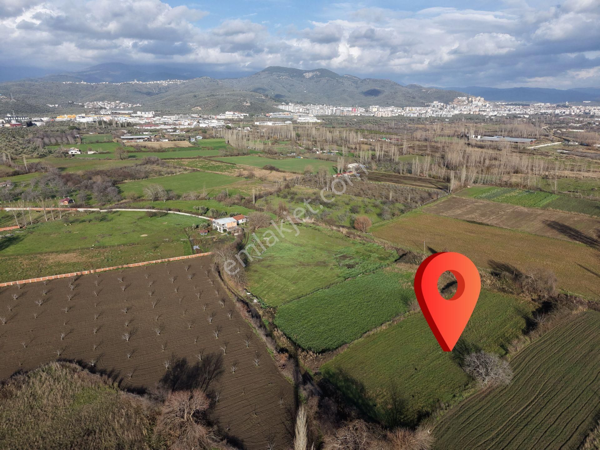 Mera Emlaktan Zeytinli Mevki Hisseli, İmara Yakın 2.500m2 Tarla