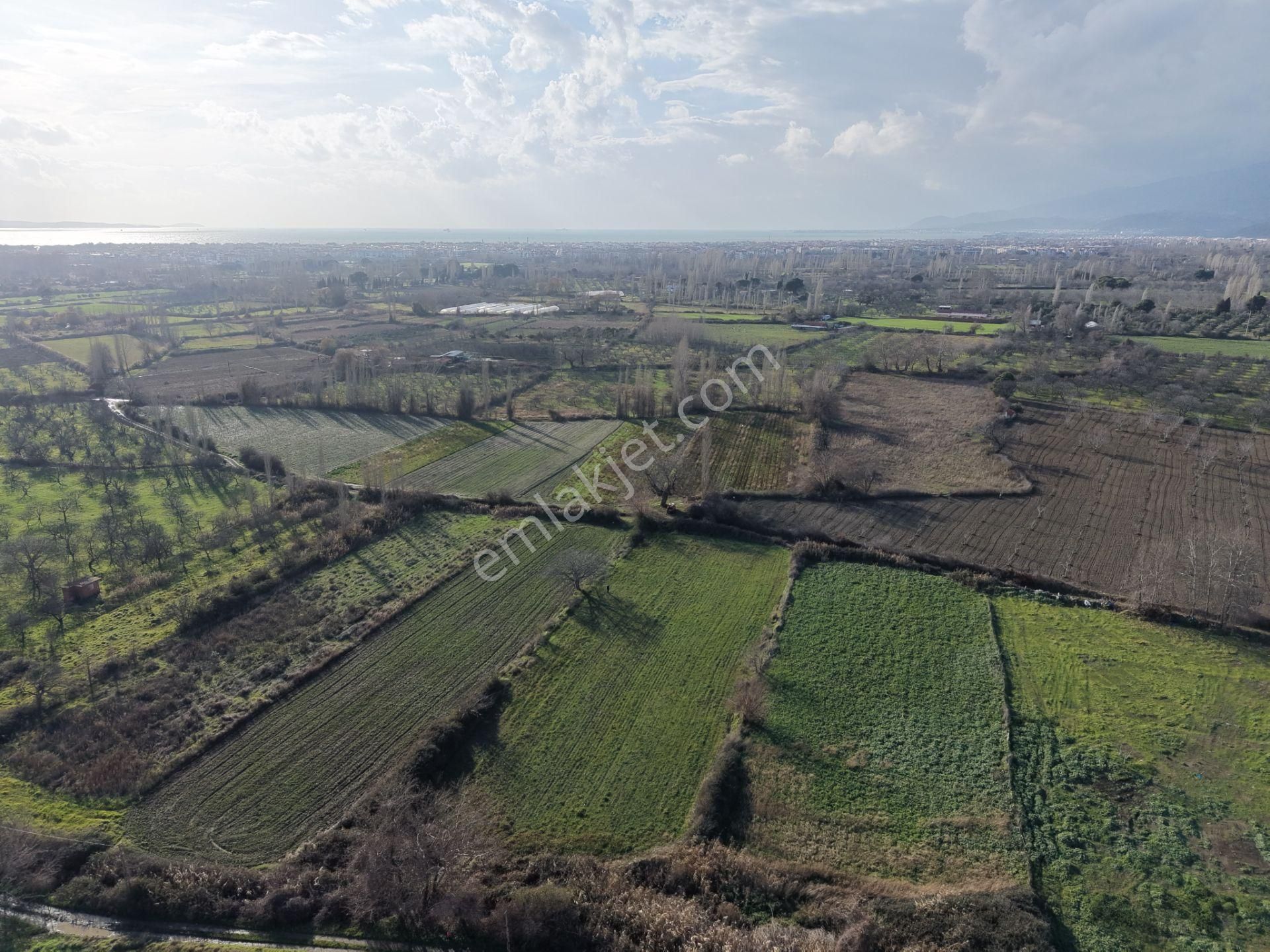 Mera Emlaktan Zeytinli Mevki Hisseli, İmara Yakın 2.500m2 Tarla - Görsel 27