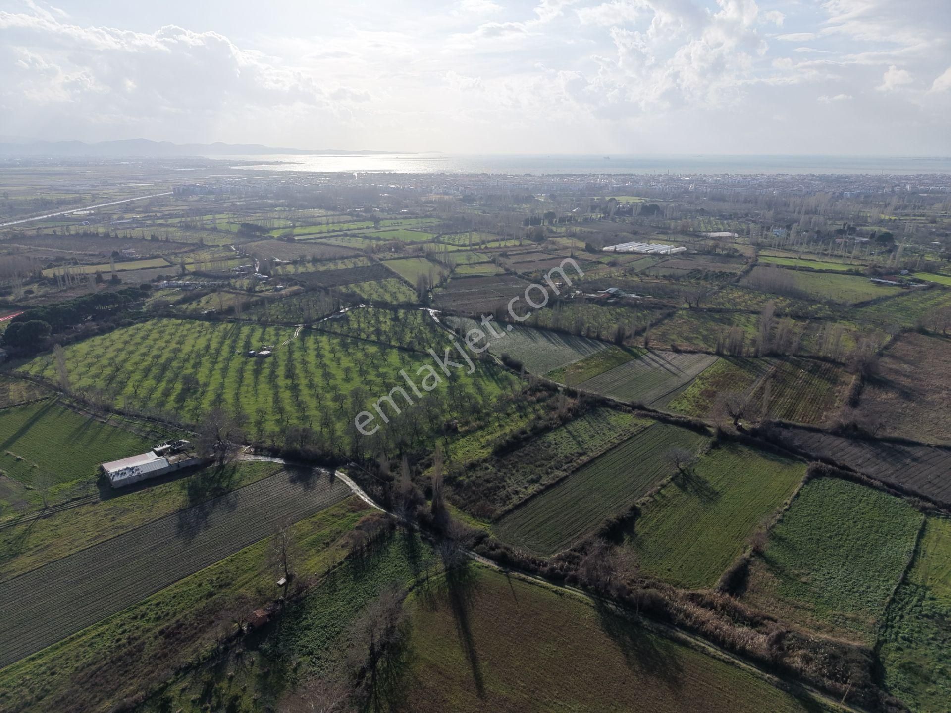 Mera Emlaktan Zeytinli Mevki Hisseli, İmara Yakın 2.500m2 Tarla - Görsel 17