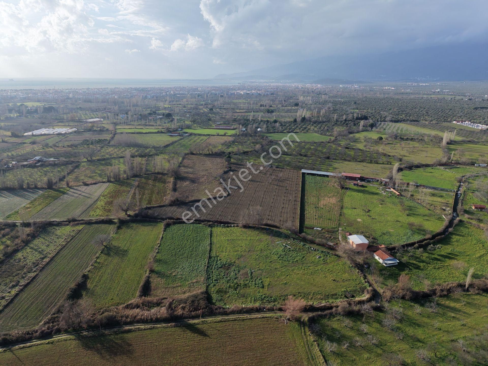 Mera Emlaktan Zeytinli Mevki Hisseli, İmara Yakın 2.500m2 Tarla - Görsel 20