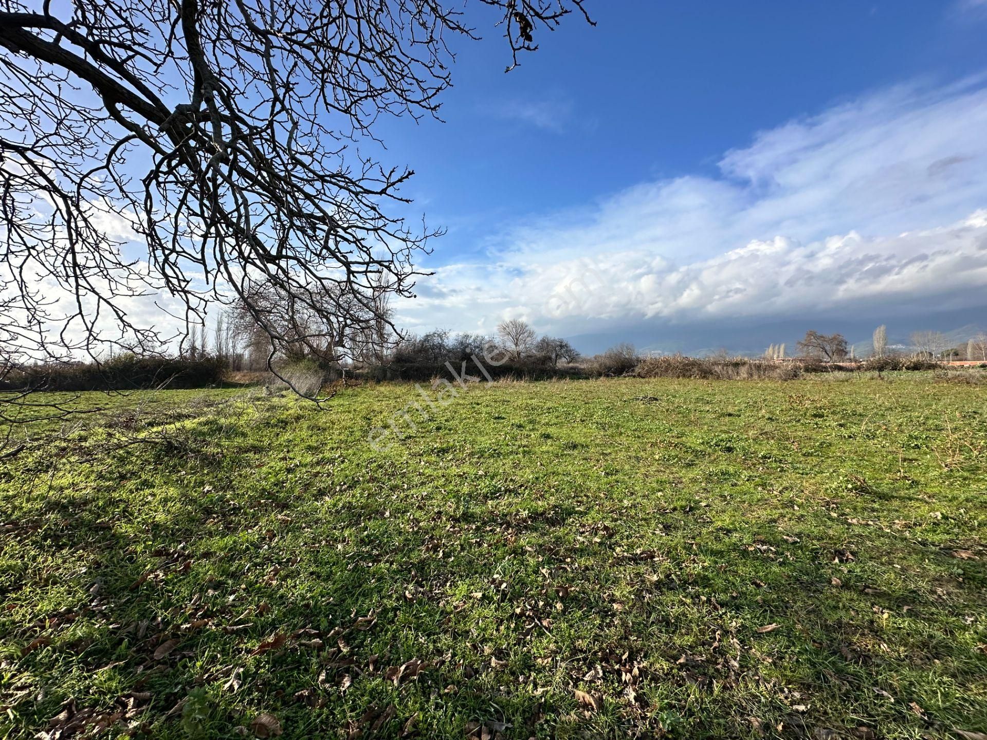 Mera Emlaktan Zeytinli Mevki Hisseli, İmara Yakın 2.500m2 Tarla - Görsel 11