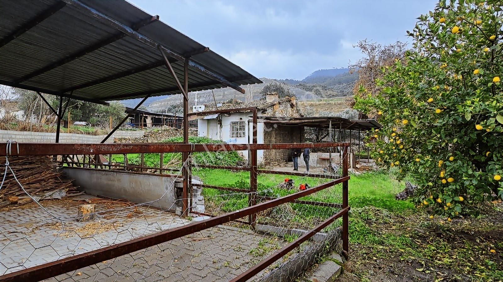 Şentürk Gayrimenkul |pirlibey'de Yatırımlık | Köy İçinde Bağ Evi - Görsel 10