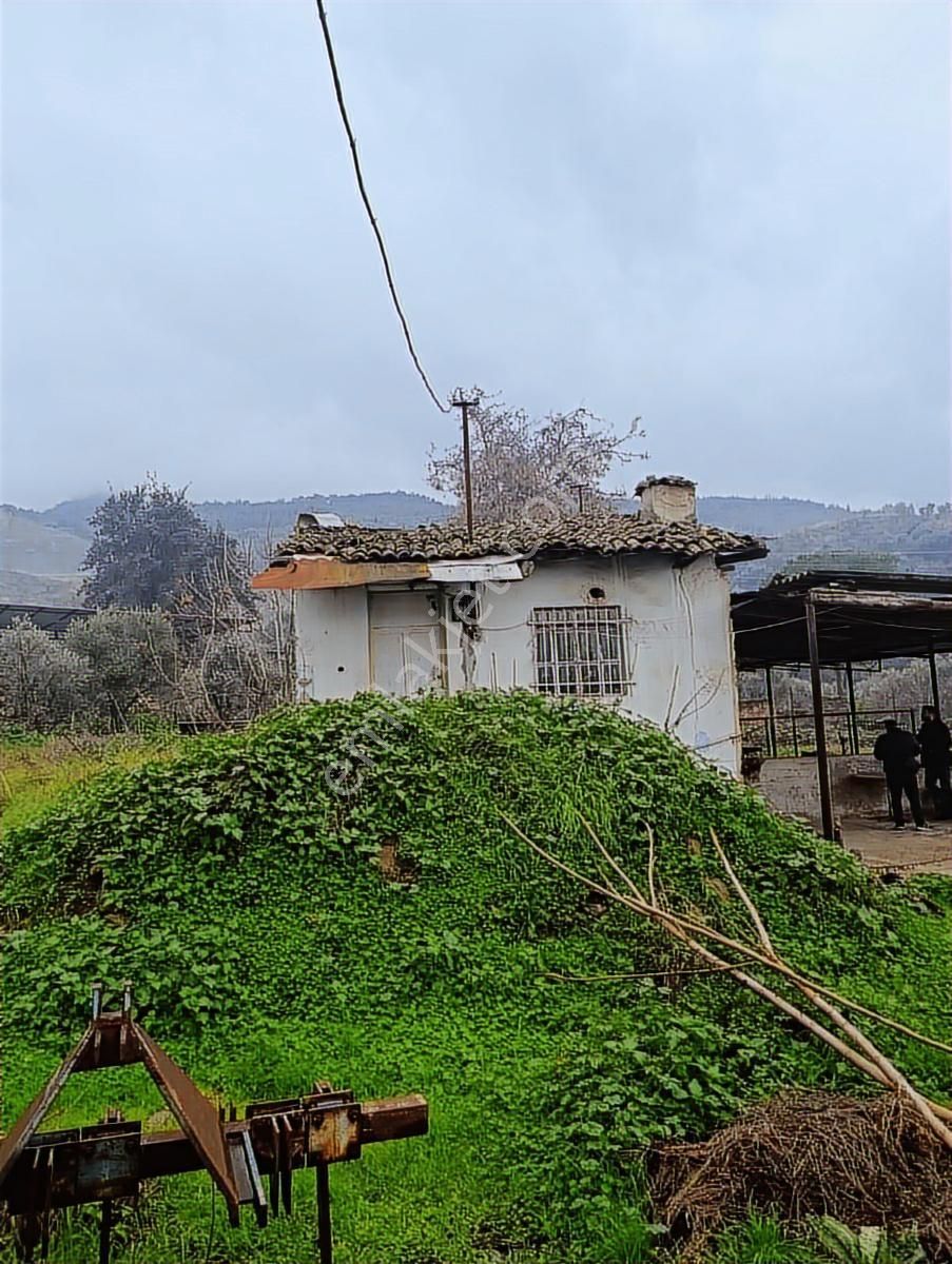 Şentürk Gayrimenkul |pirlibey'de Yatırımlık | Köy İçinde Bağ Evi - Görsel 8