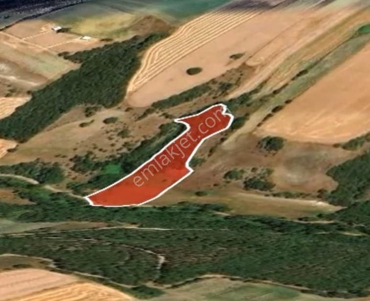 Silivri Değirmenköy'de Yatırımlık Satılık Tarla - Görsel 2