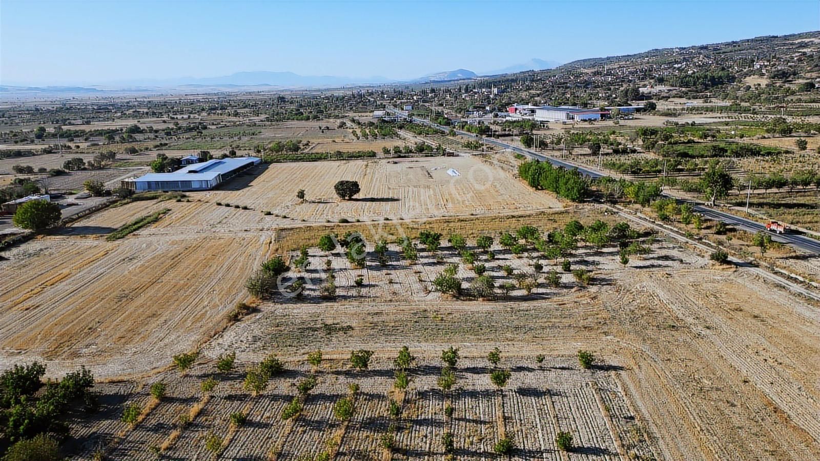 Çal İsabey' De 1910 M2 Bağ Asfalta 2. Parsel Araçla Ulaşılır - Görsel 8