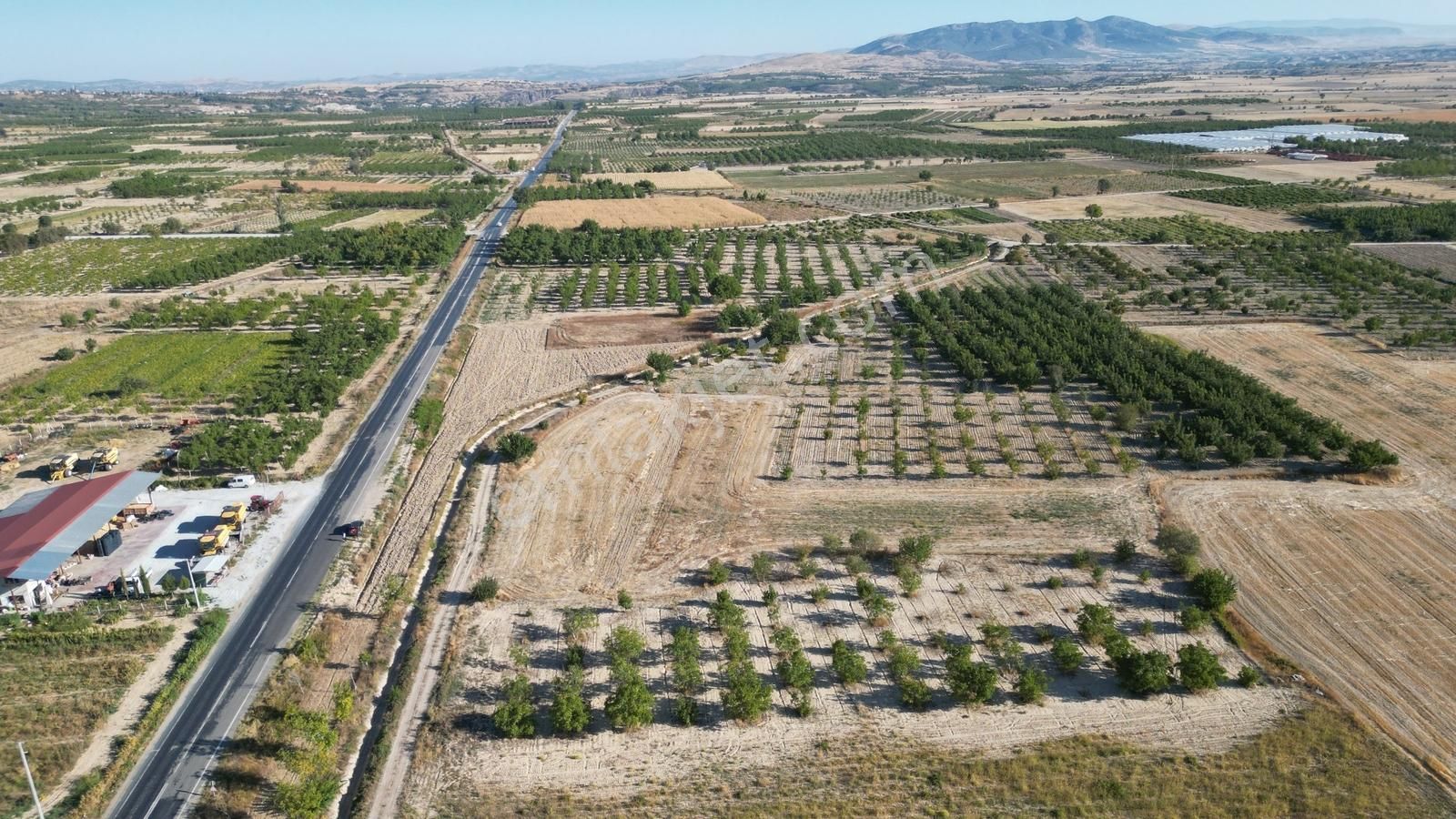 Çal İsabey' De 1910 M2 Bağ Asfalta 2. Parsel Araçla Ulaşılır - Görsel 15