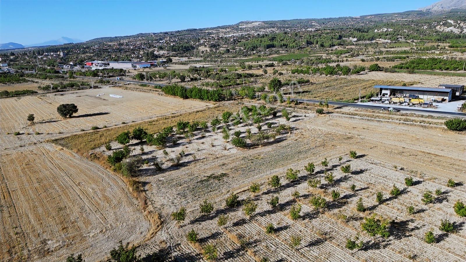 Çal İsabey' De 1910 M2 Bağ Asfalta 2. Parsel Araçla Ulaşılır - Görsel 18