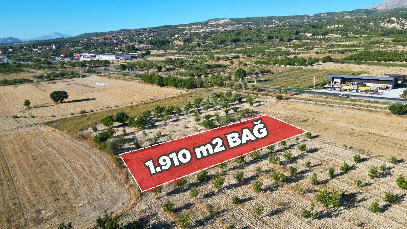 Çal İsabey' De 1910 M2 Bağ Asfalta 2. Parsel Araçla Ulaşılır - Görsel 5