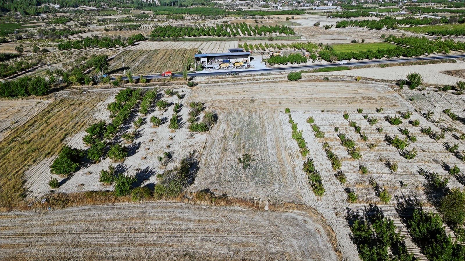 Çal İsabey' De 1910 M2 Bağ Asfalta 2. Parsel Araçla Ulaşılır - Görsel 13