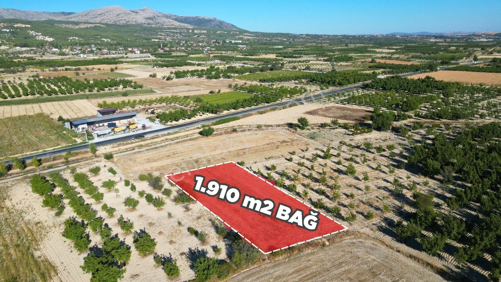 Çal İsabey' De 1910 M2 Bağ Asfalta 2. Parsel Araçla Ulaşılır - Görsel 10