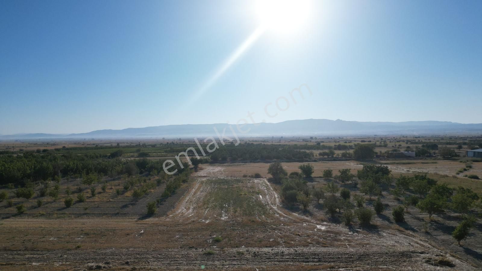 Çal İsabey' De 1910 M2 Bağ Asfalta 2. Parsel Araçla Ulaşılır - Görsel 23