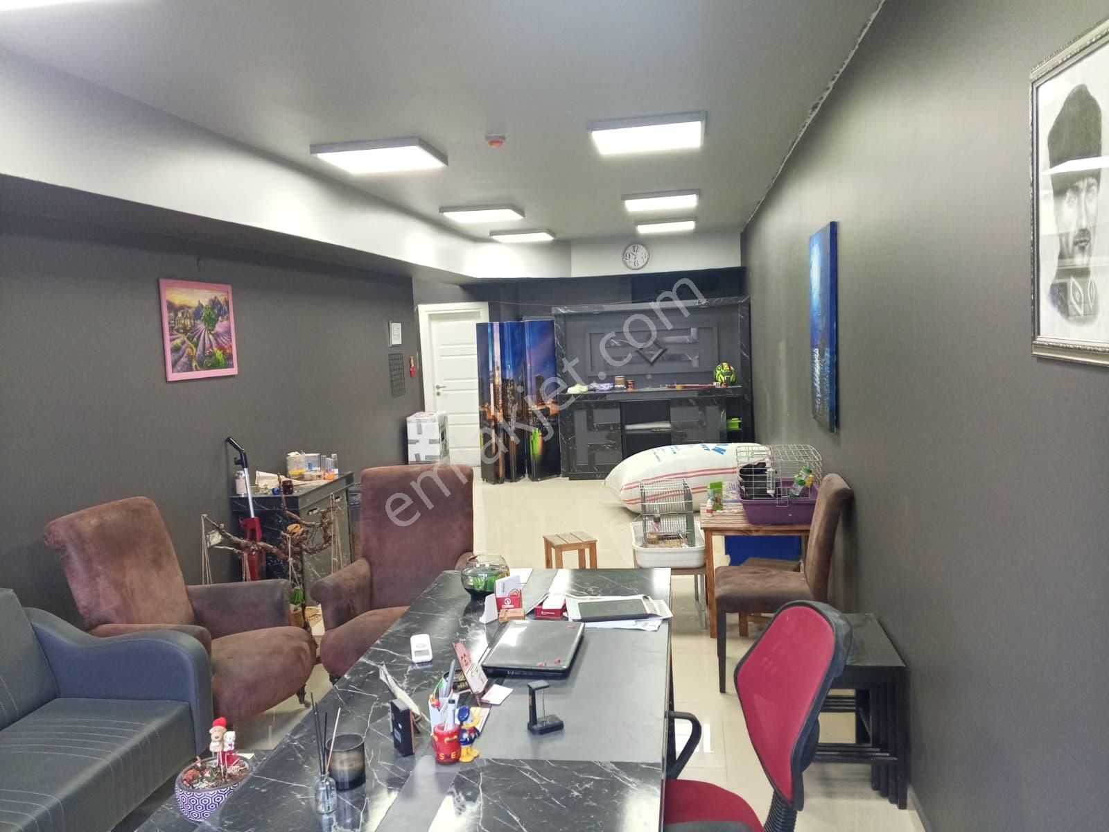 Devren Satılık Yüksek Cirolu Petshop - Görsel 3