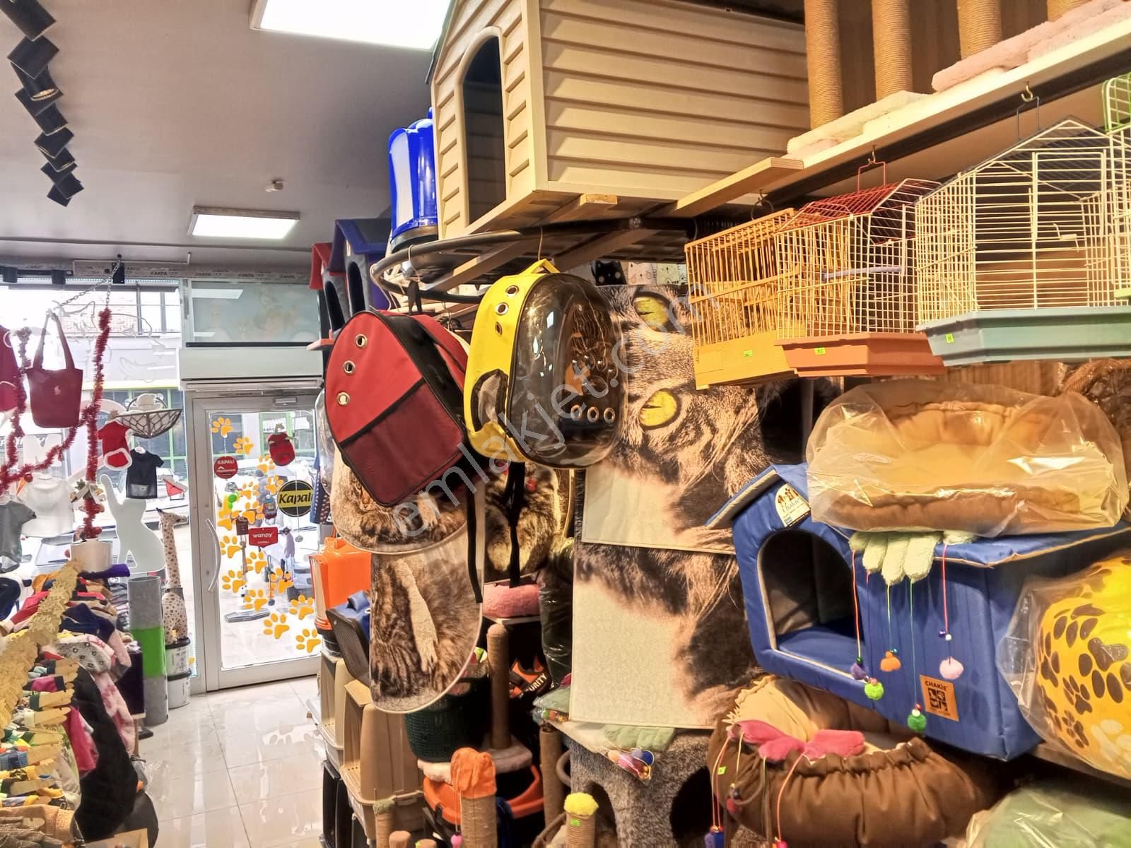 Devren Satılık Yüksek Cirolu Petshop - Görsel 33