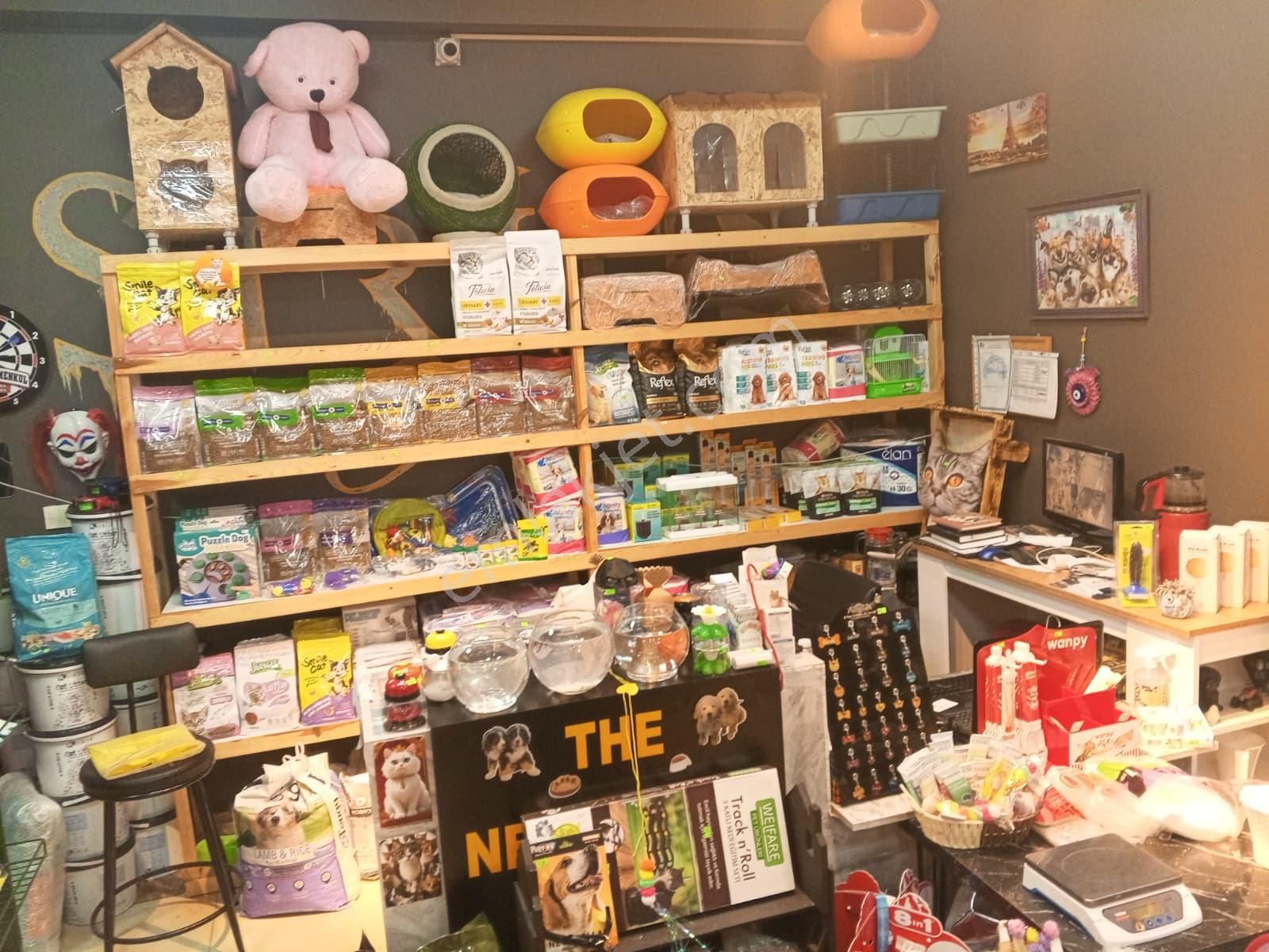 Devren Satılık Yüksek Cirolu Petshop - Görsel 12