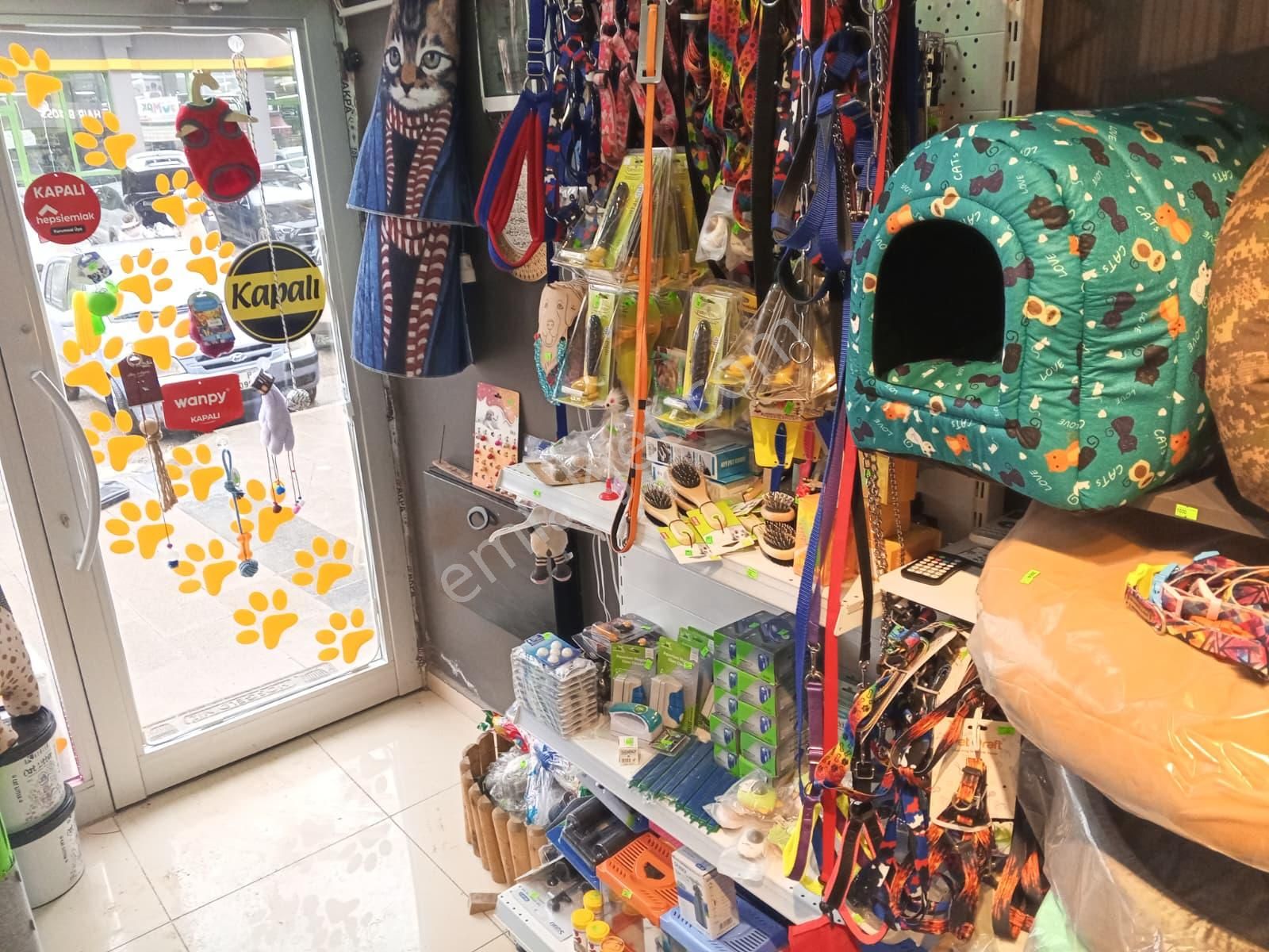 Devren Satılık Yüksek Cirolu Petshop - Görsel 21