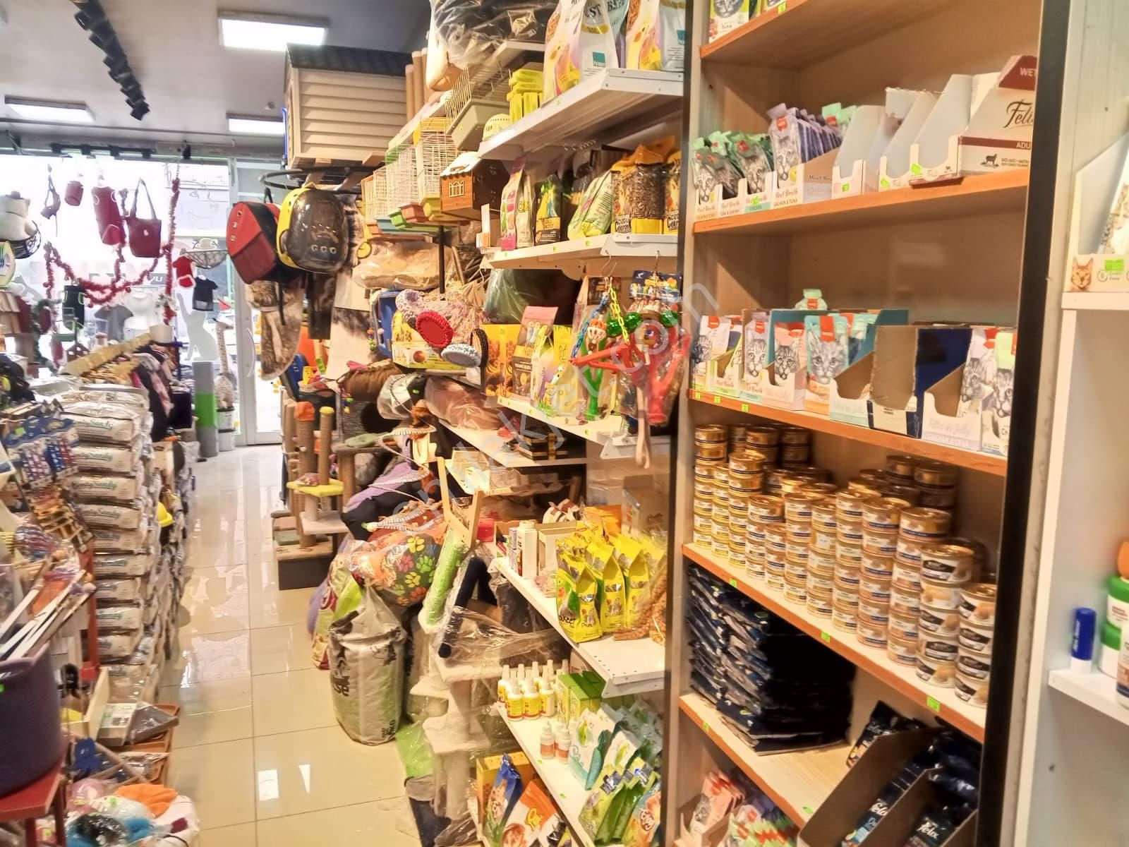 Devren Satılık Yüksek Cirolu Petshop - Görsel 30