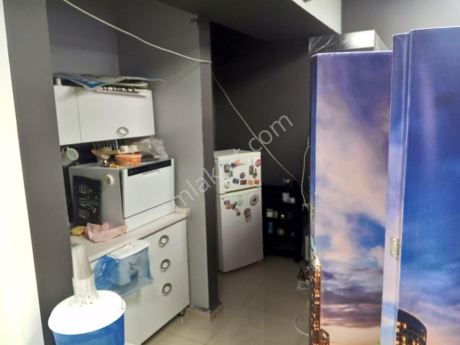 Devren Satılık Yüksek Cirolu Petshop - Görsel 8