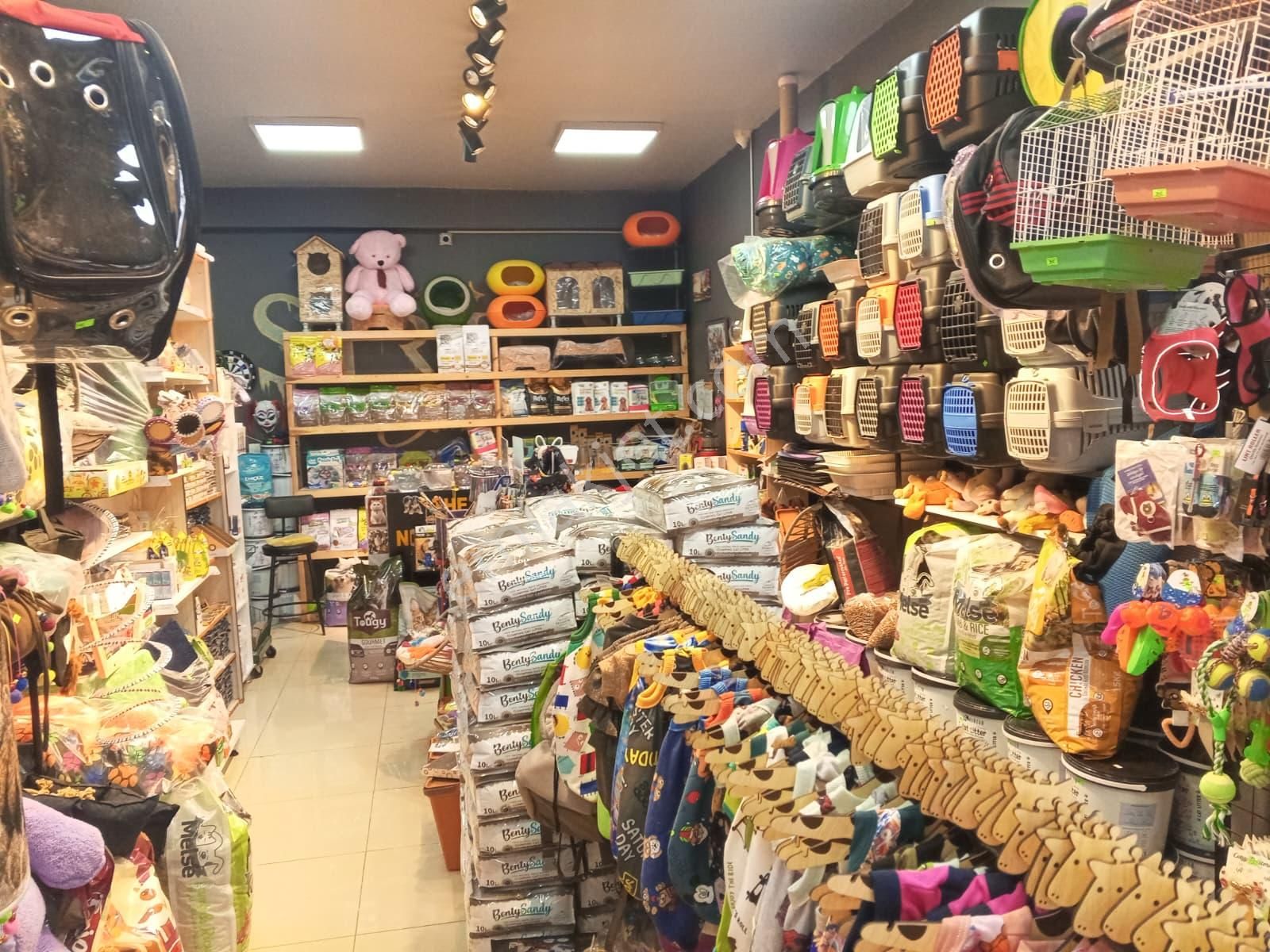 Devren Satılık Yüksek Cirolu Petshop - Görsel 14