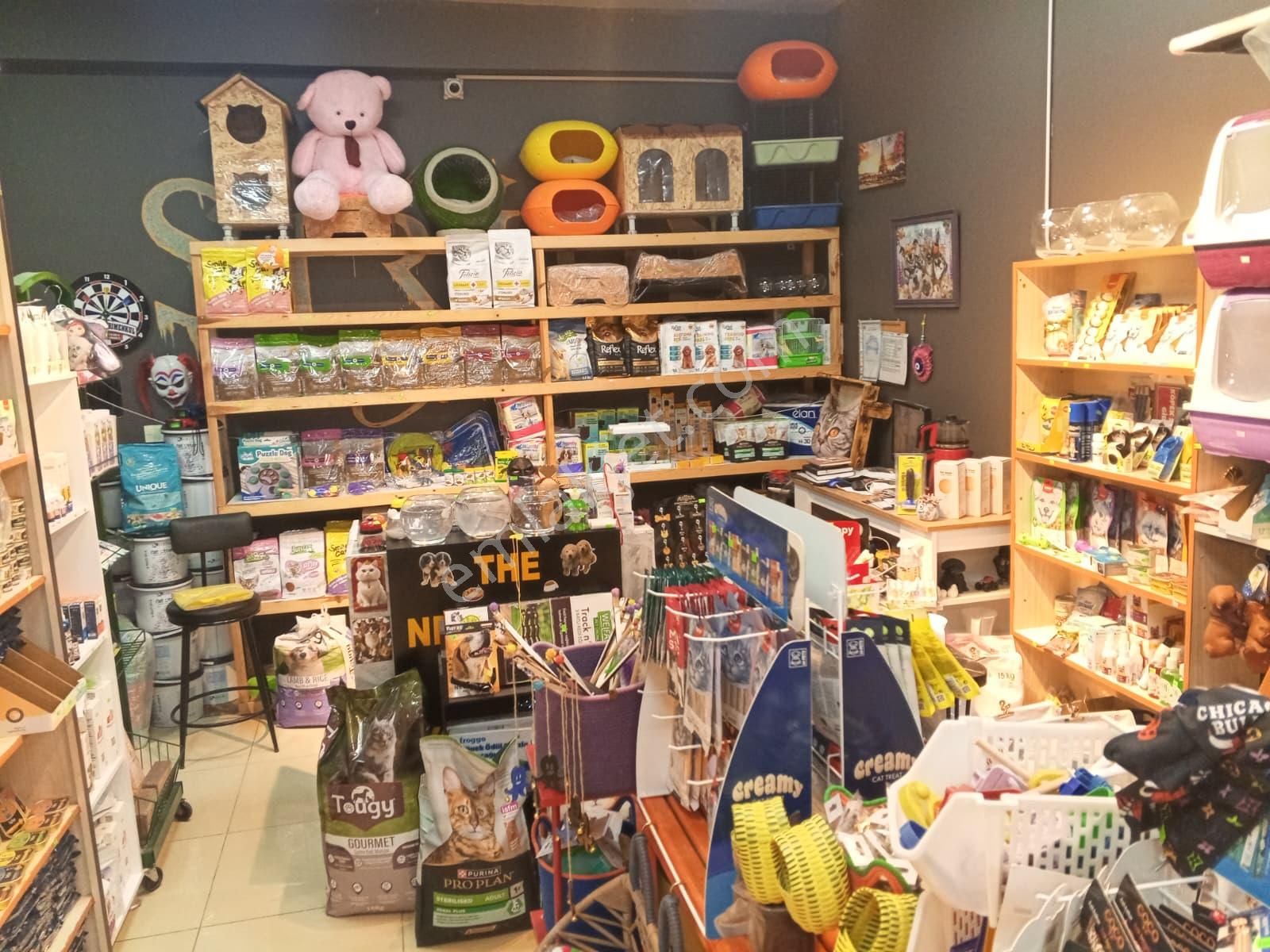 Devren Satılık Yüksek Cirolu Petshop - Görsel 10