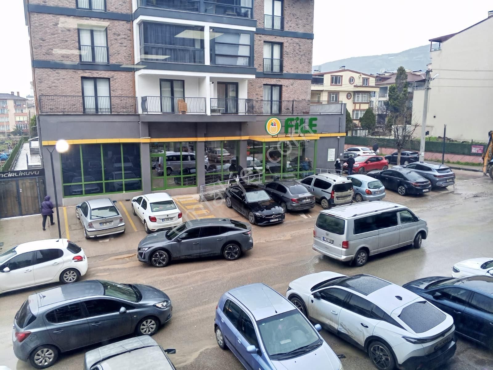 Devren Satılık Yüksek Cirolu Petshop - Görsel 4