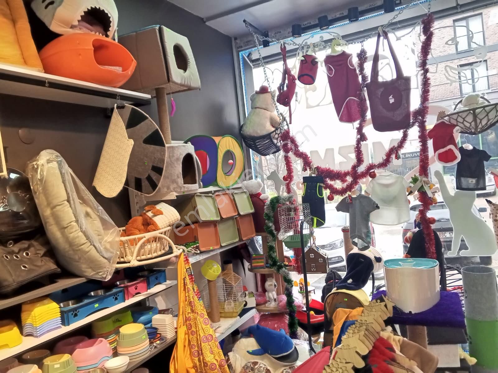 Devren Satılık Yüksek Cirolu Petshop - Görsel 22