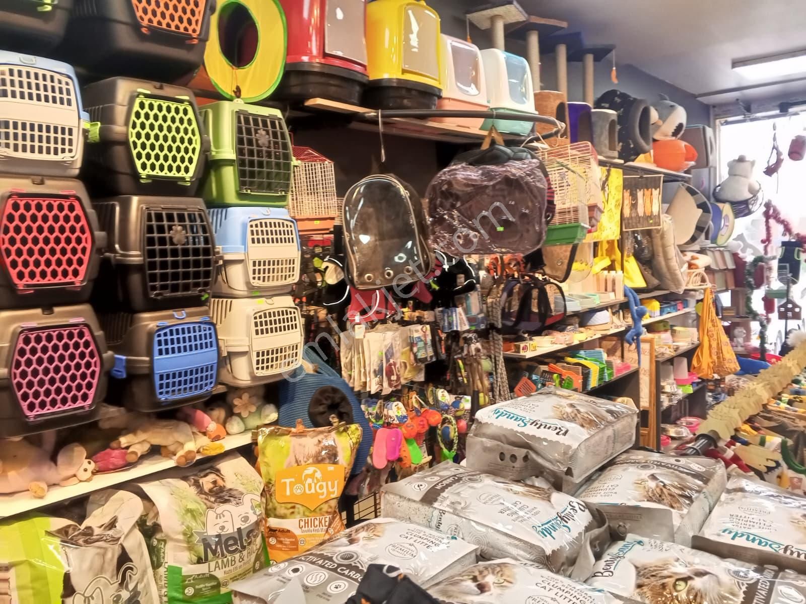 Devren Satılık Yüksek Cirolu Petshop - Görsel 27