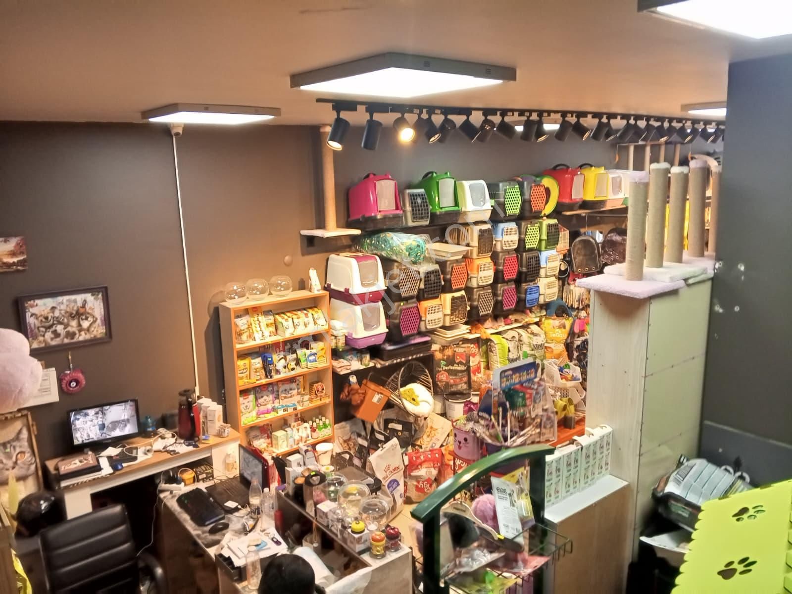 Devren Satılık Yüksek Cirolu Petshop - Görsel 5