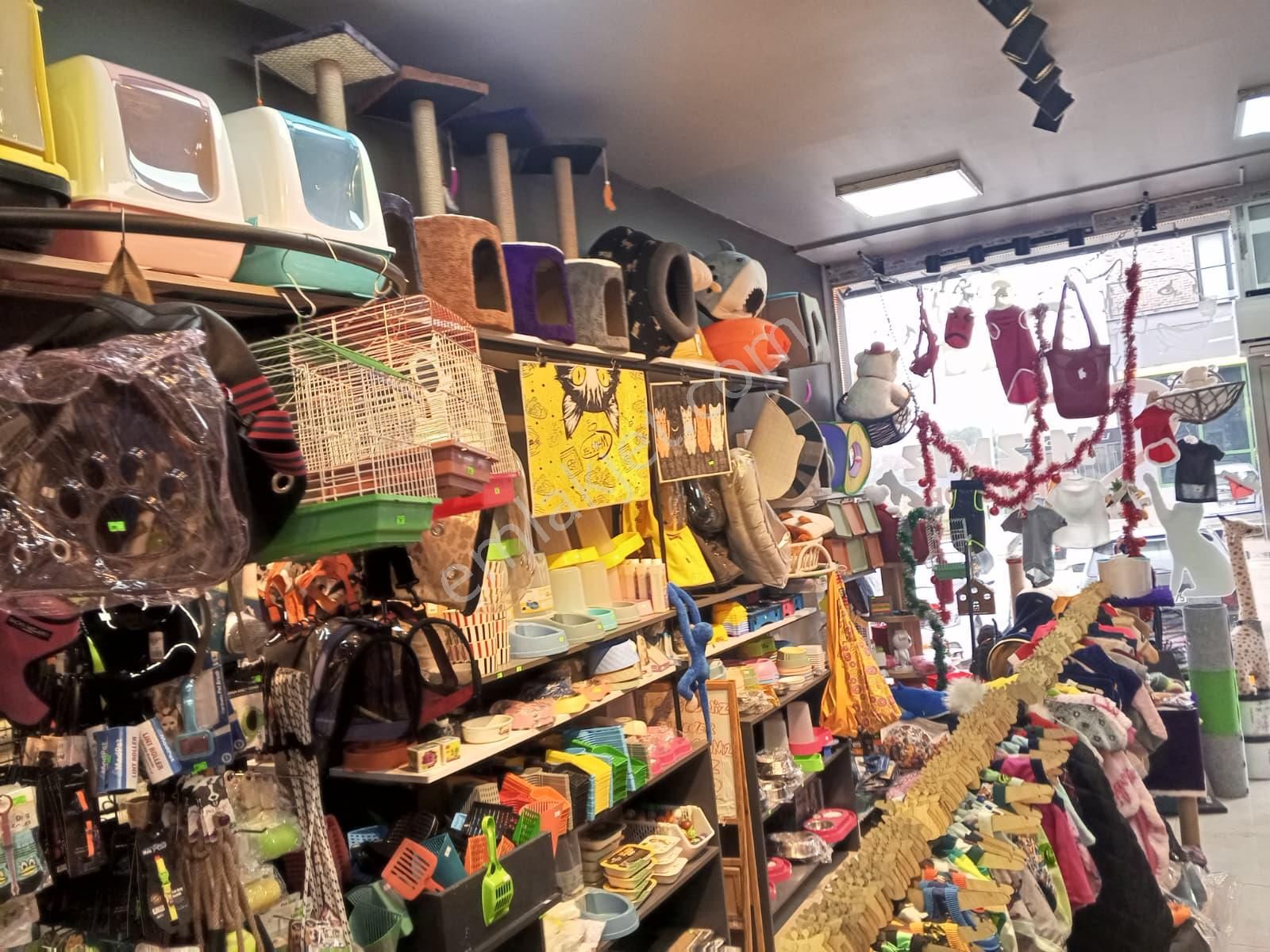 Devren Satılık Yüksek Cirolu Petshop - Görsel 25