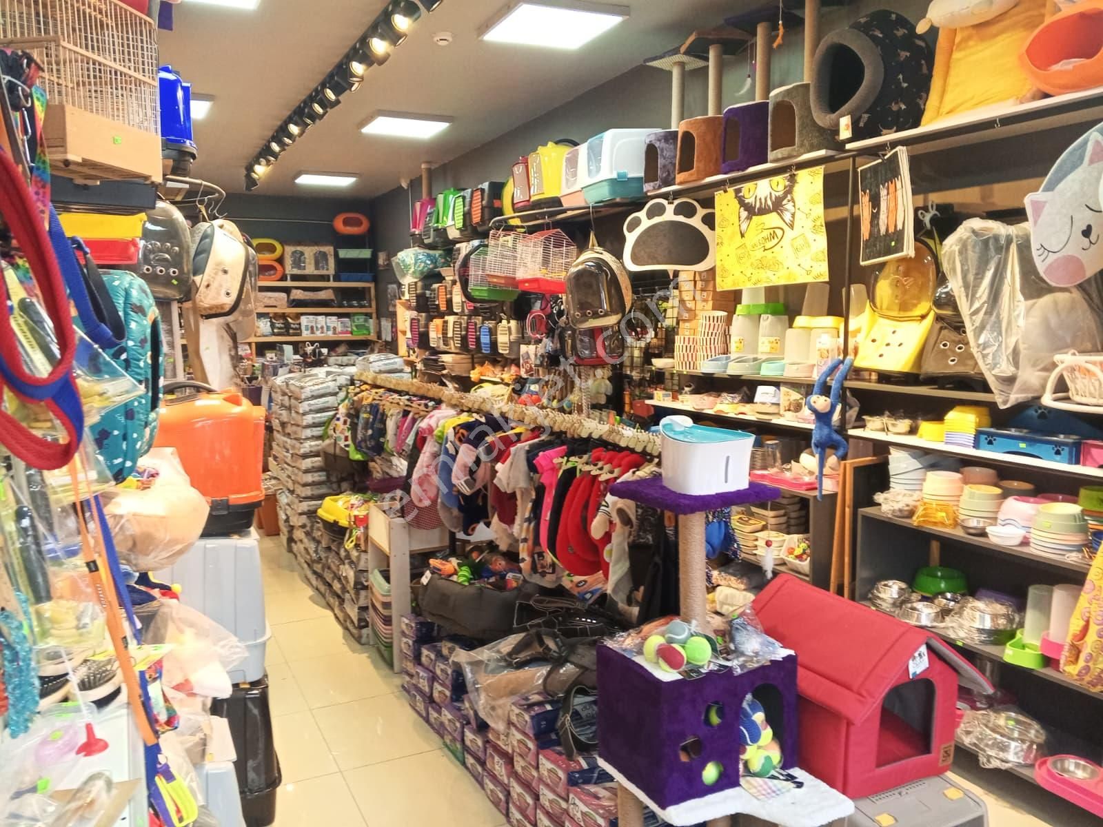 Devren Satılık Yüksek Cirolu Petshop - Görsel 20