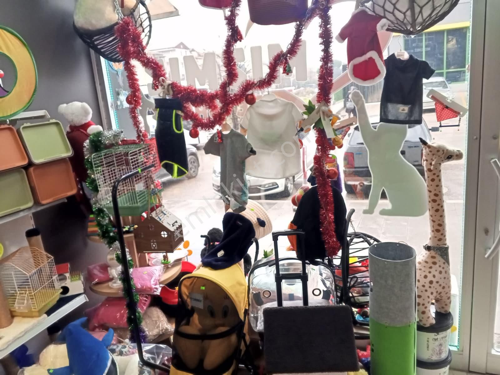 Devren Satılık Yüksek Cirolu Petshop - Görsel 19