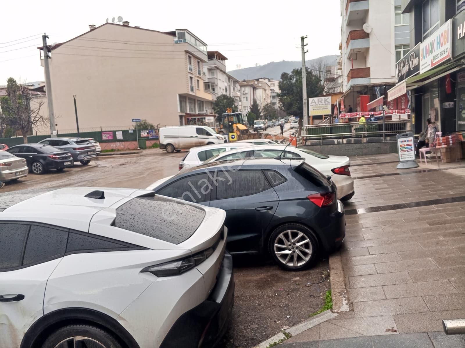 Devren Satılık Yüksek Cirolu Petshop - Görsel 15