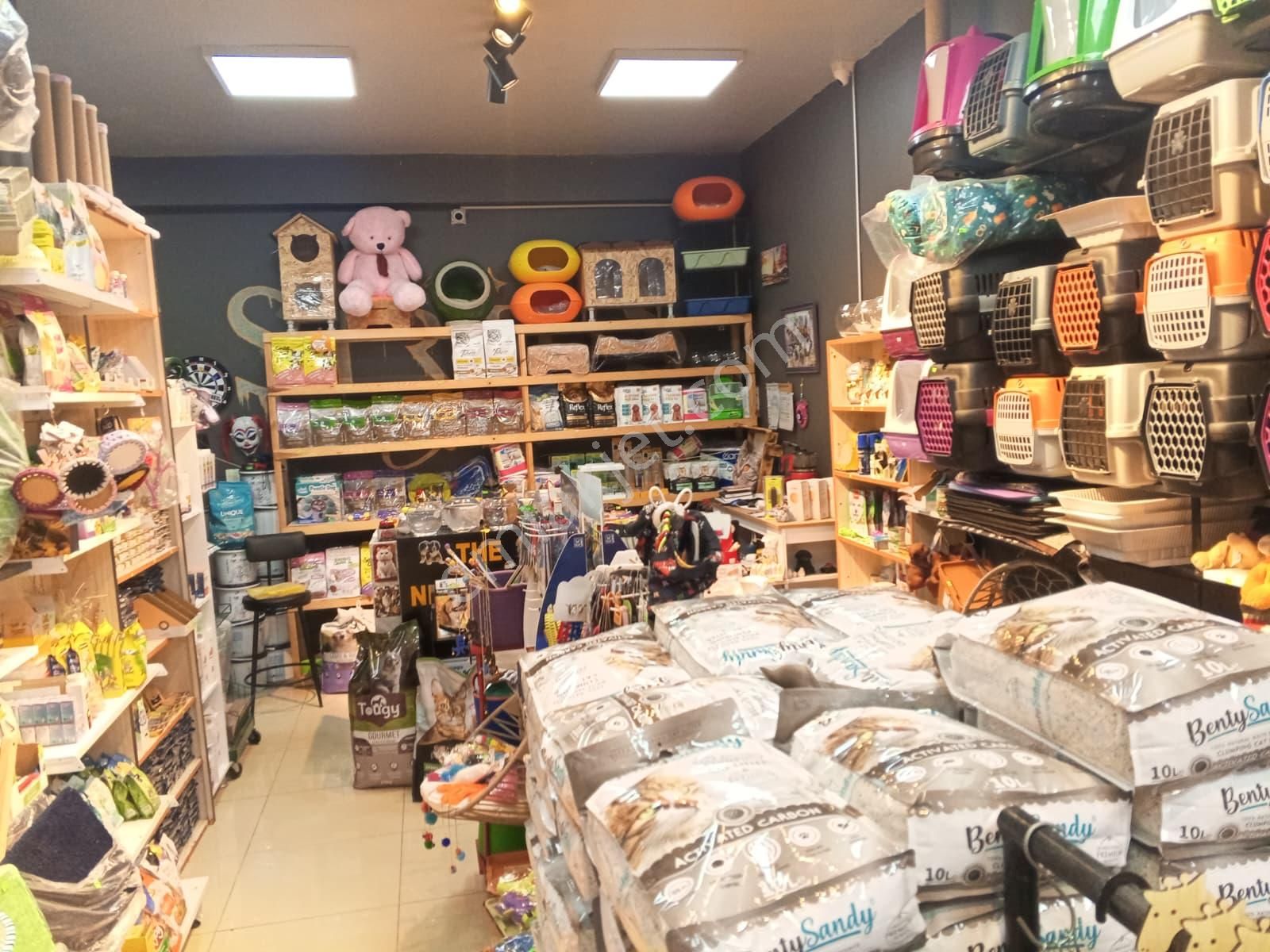 Devren Satılık Yüksek Cirolu Petshop - Görsel 13