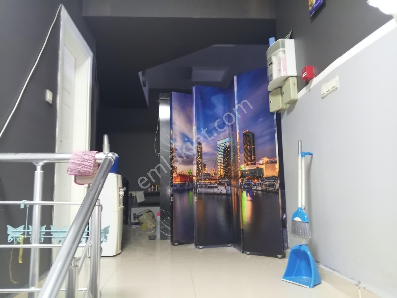 Devren Satılık Yüksek Cirolu Petshop - Görsel 7