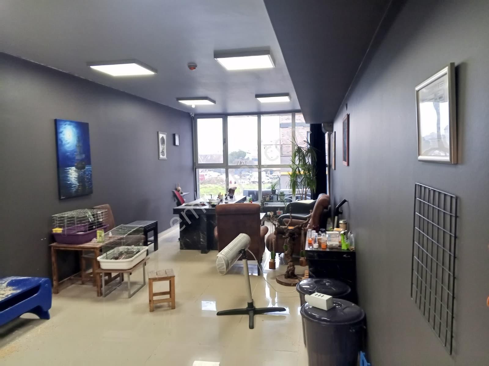 Devren Satılık Yüksek Cirolu Petshop - Görsel 6