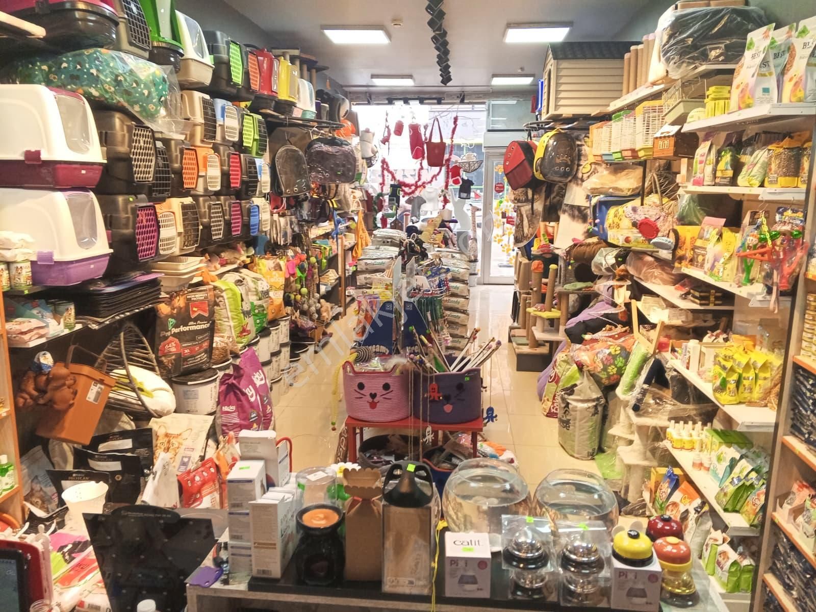Devren Satılık Yüksek Cirolu Petshop - Görsel 32